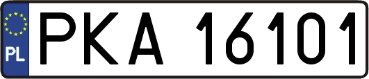 PKA16101