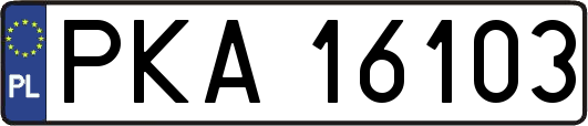 PKA16103