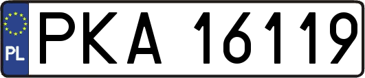 PKA16119
