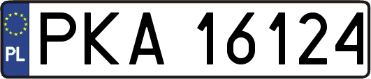 PKA16124