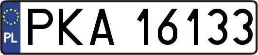 PKA16133