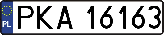 PKA16163