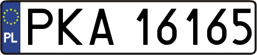 PKA16165