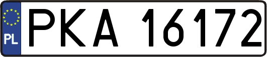 PKA16172