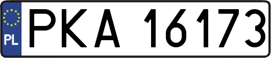 PKA16173