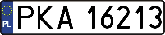 PKA16213
