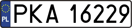 PKA16229