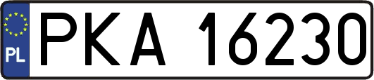 PKA16230