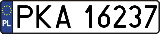 PKA16237