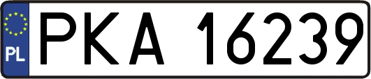 PKA16239