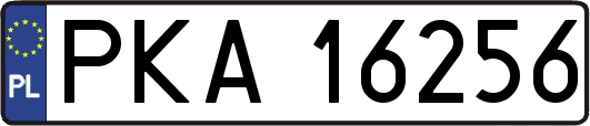 PKA16256