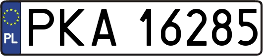 PKA16285