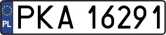 PKA16291