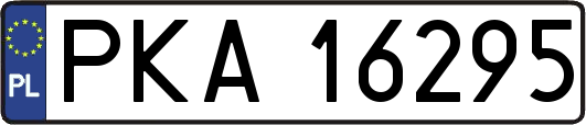 PKA16295