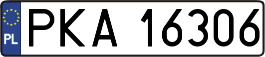 PKA16306
