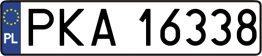 PKA16338