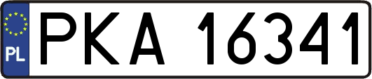 PKA16341