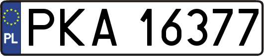 PKA16377