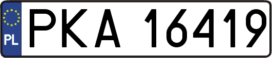 PKA16419
