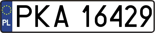 PKA16429