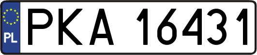 PKA16431