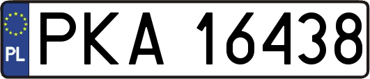 PKA16438