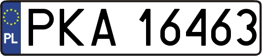 PKA16463