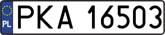 PKA16503