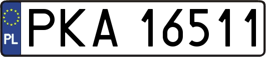PKA16511