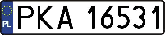 PKA16531