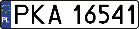 PKA16541