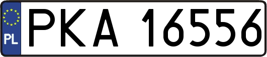 PKA16556