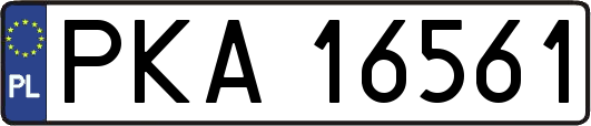 PKA16561