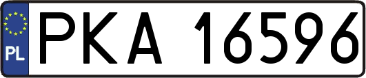 PKA16596