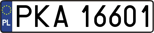PKA16601