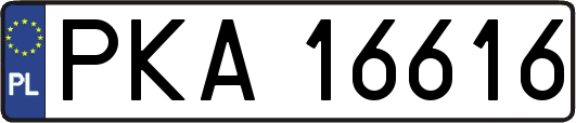 PKA16616