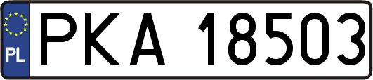 PKA18503