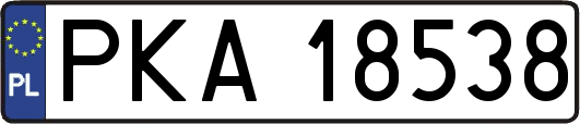 PKA18538
