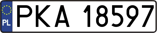 PKA18597