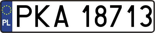 PKA18713