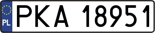 PKA18951