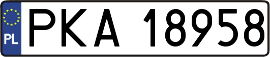 PKA18958