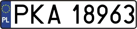 PKA18963