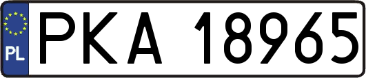 PKA18965
