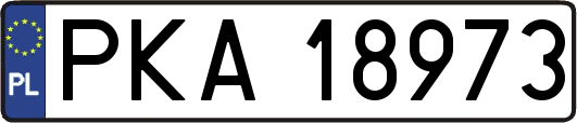 PKA18973
