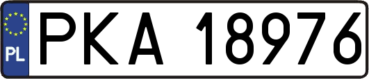 PKA18976
