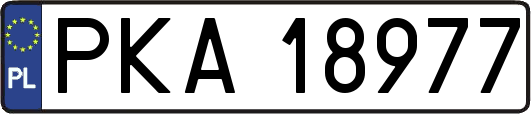 PKA18977
