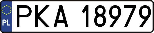 PKA18979