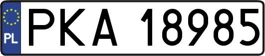 PKA18985