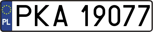 PKA19077